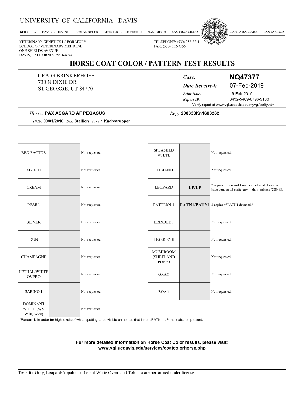 Horse Coat Color / Pattern Test Results Nq47377