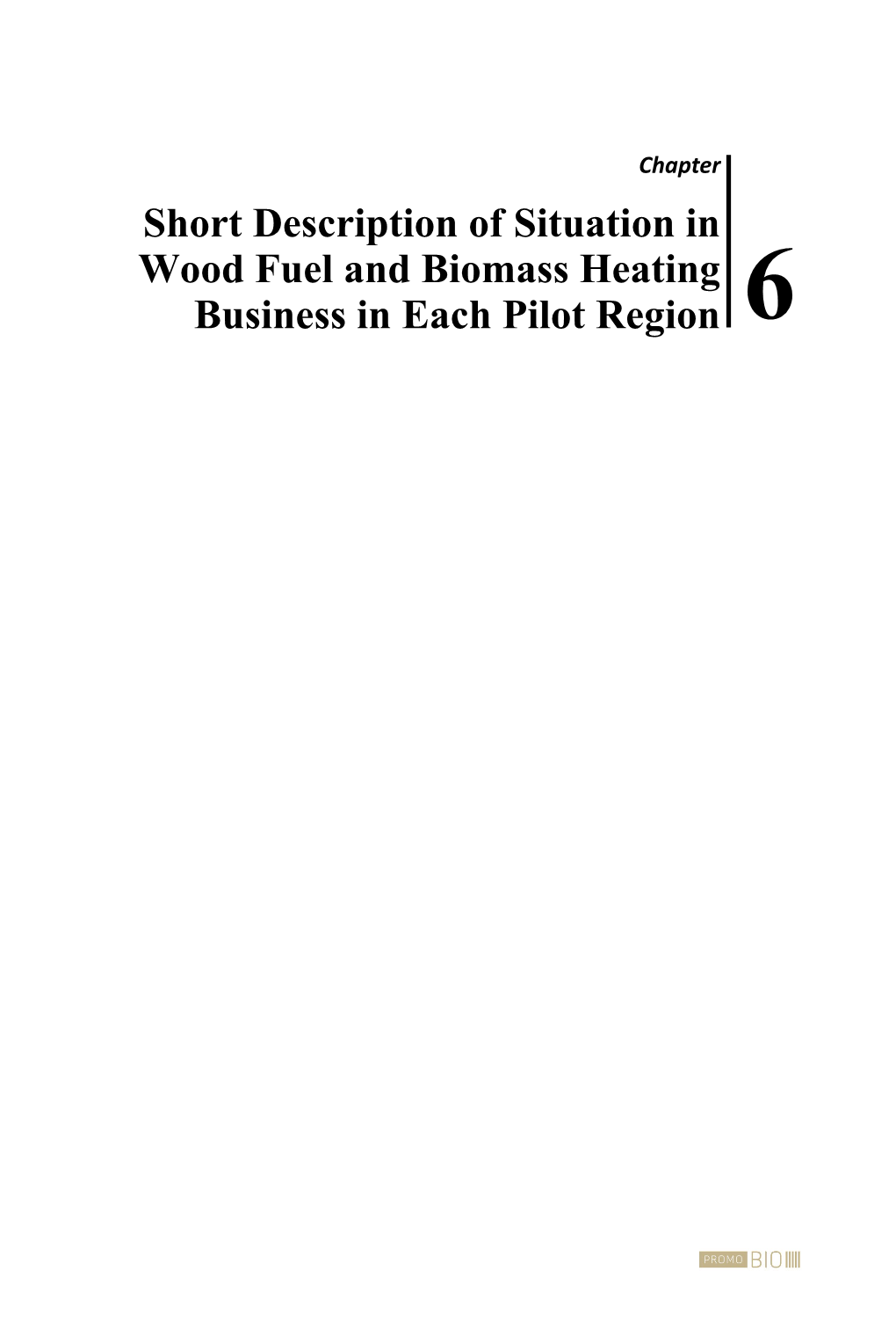 Short Description of Situation in Wood Fuel and Biomass Heating Business in Each Pilot Region 6
