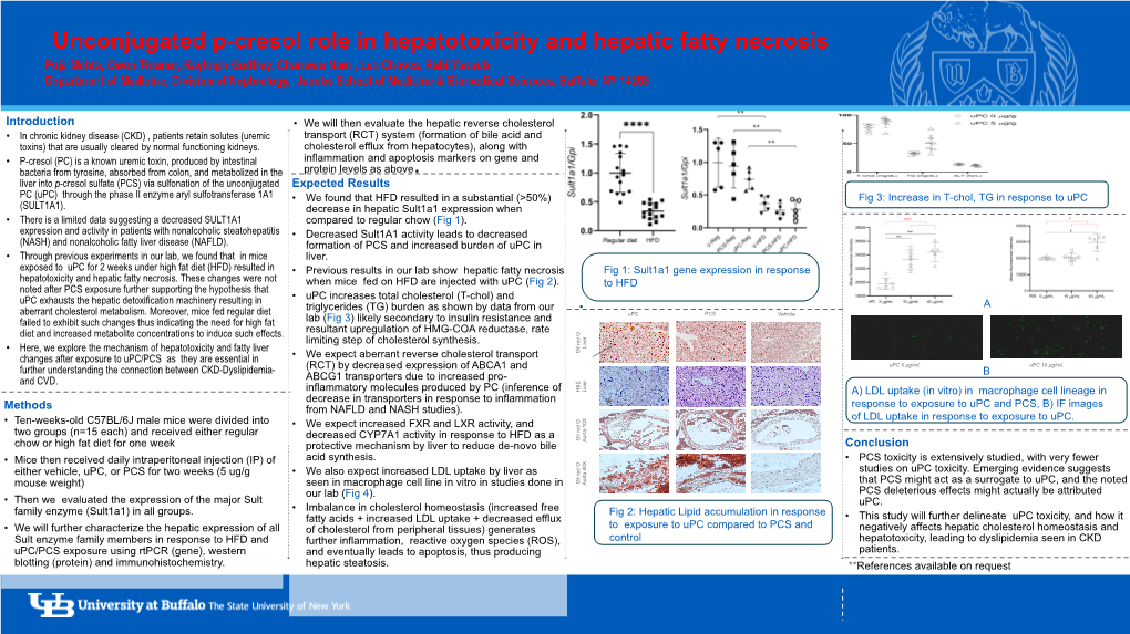 Unconjugated P-Cresol Role in Hepatotoxicity and Hepatic Fatty