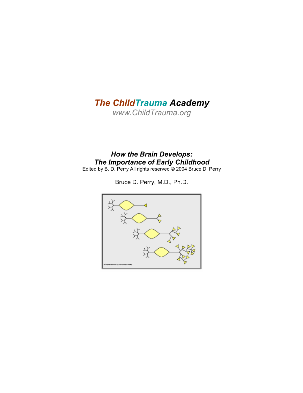 The Childtrauma Academy