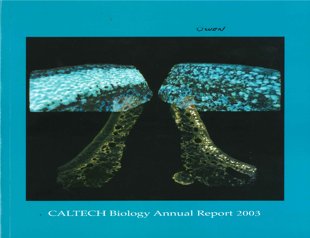 BIO-Annual-Report-2003.Pdf