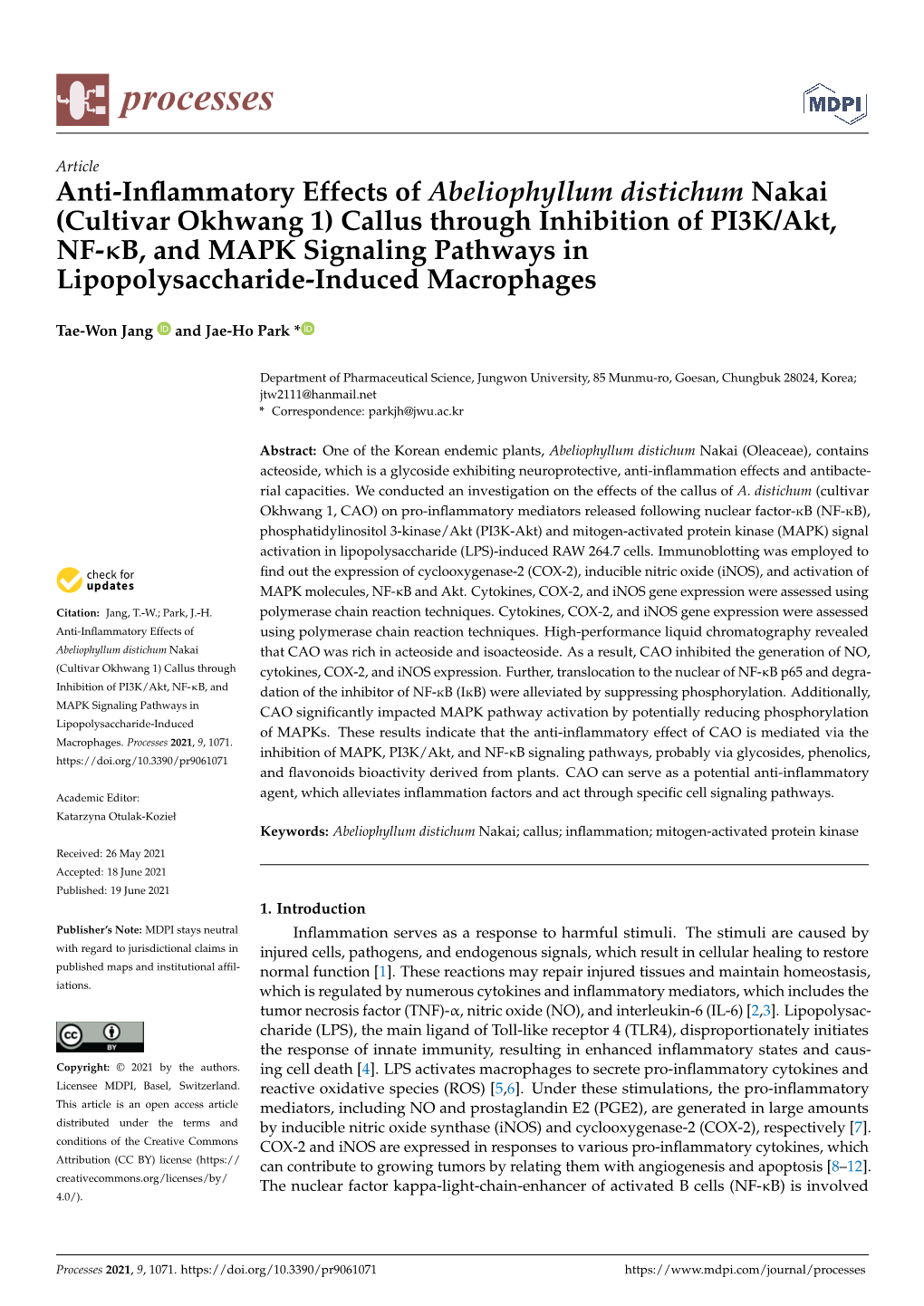 (Cultivar Okhwang 1) Callus Through Inhibition of PI3K/Akt, NF-B