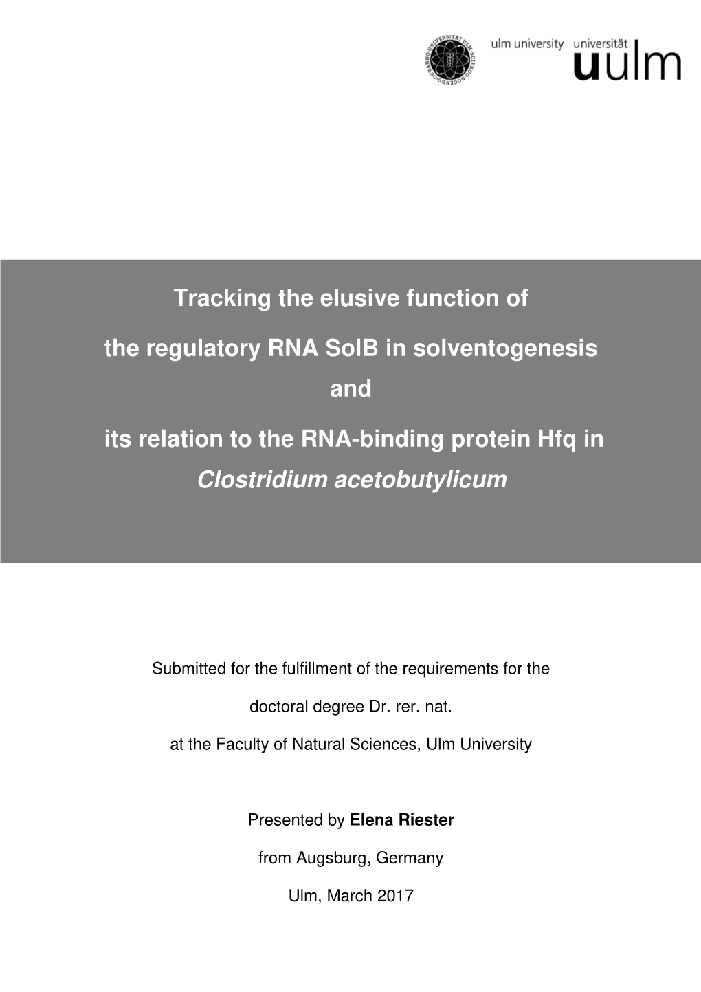 Tracking the Elusive Function of the Regulatory RNA Solb in Solventogenesis