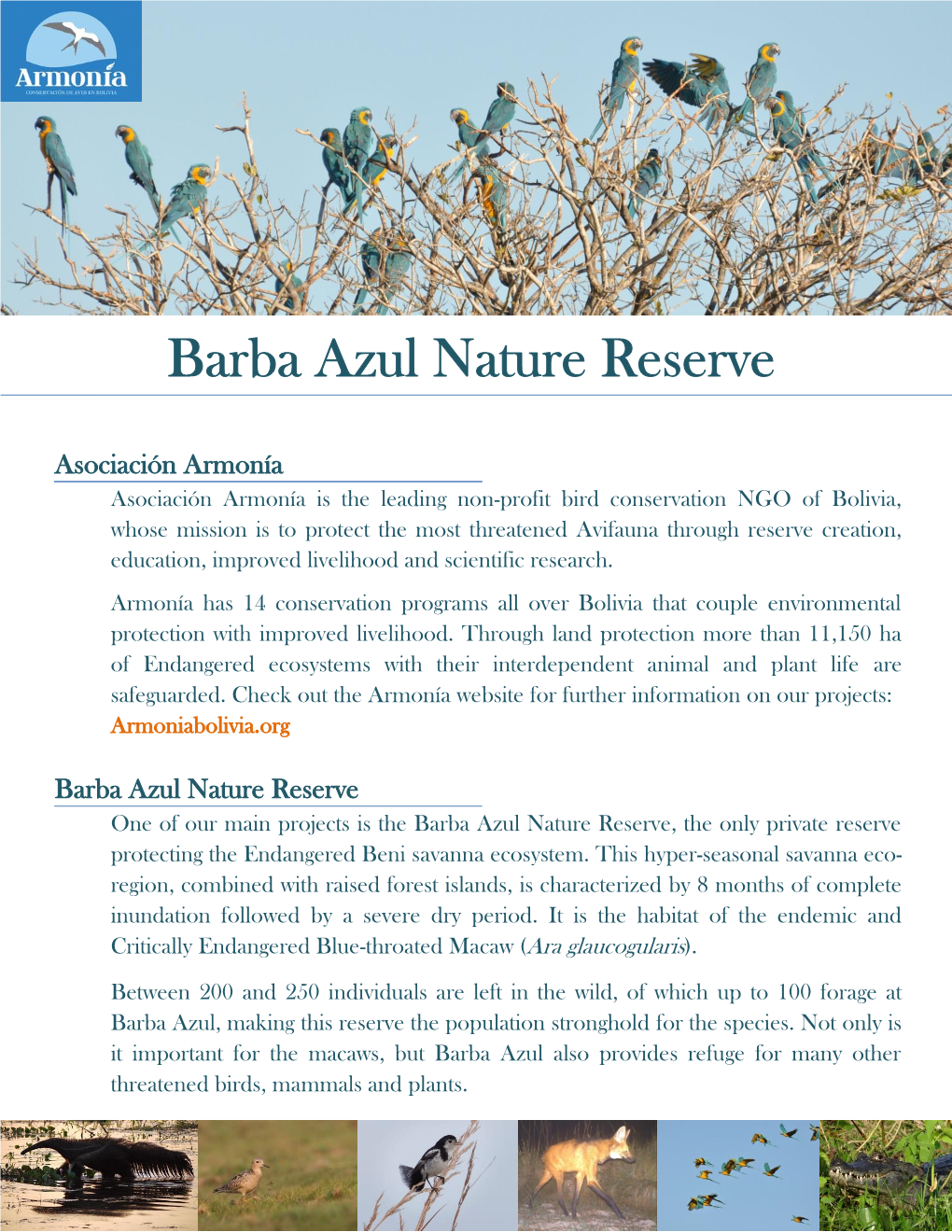 Barba Azul Nature Reserve