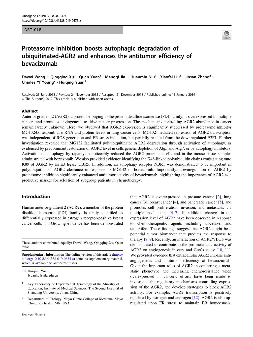 Proteasome Inhibition Boosts Autophagic Degradation of Ubiquitinated-AGR2 and Enhances the Antitumor Efﬁciency of Bevacizumab