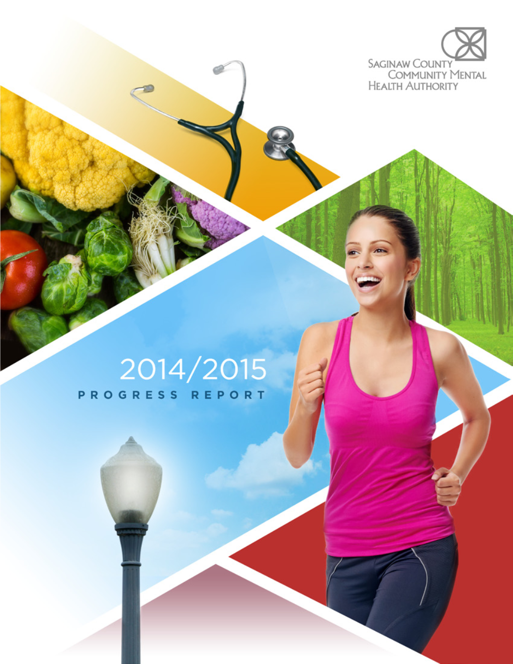 2014-2015 Annual Progress Report