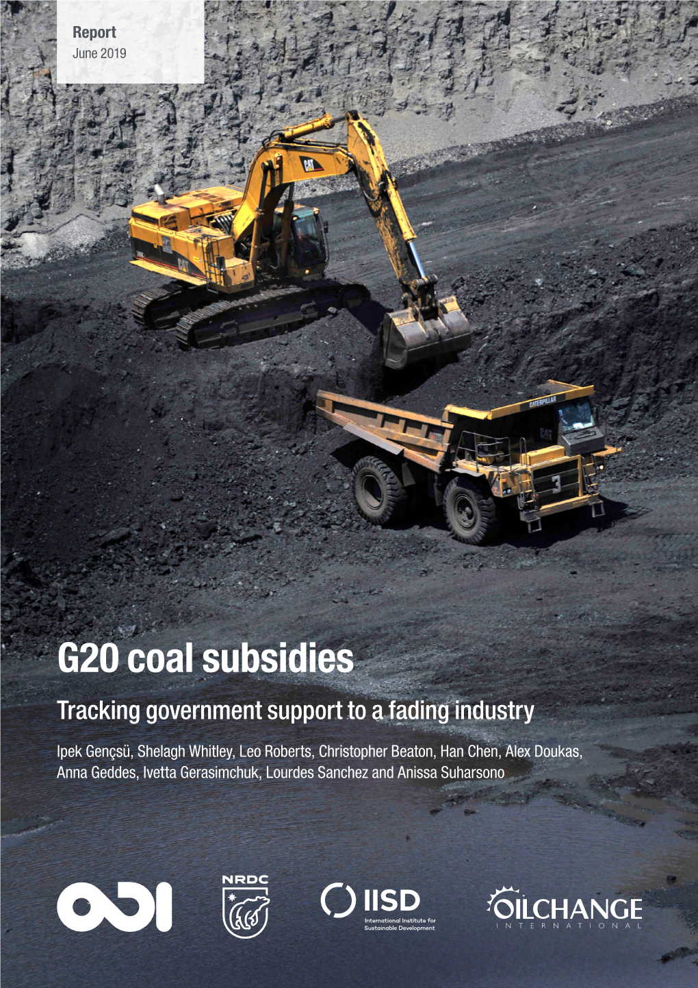 G20 Coal Subsidies Tracking Government Support to a Fading Industry