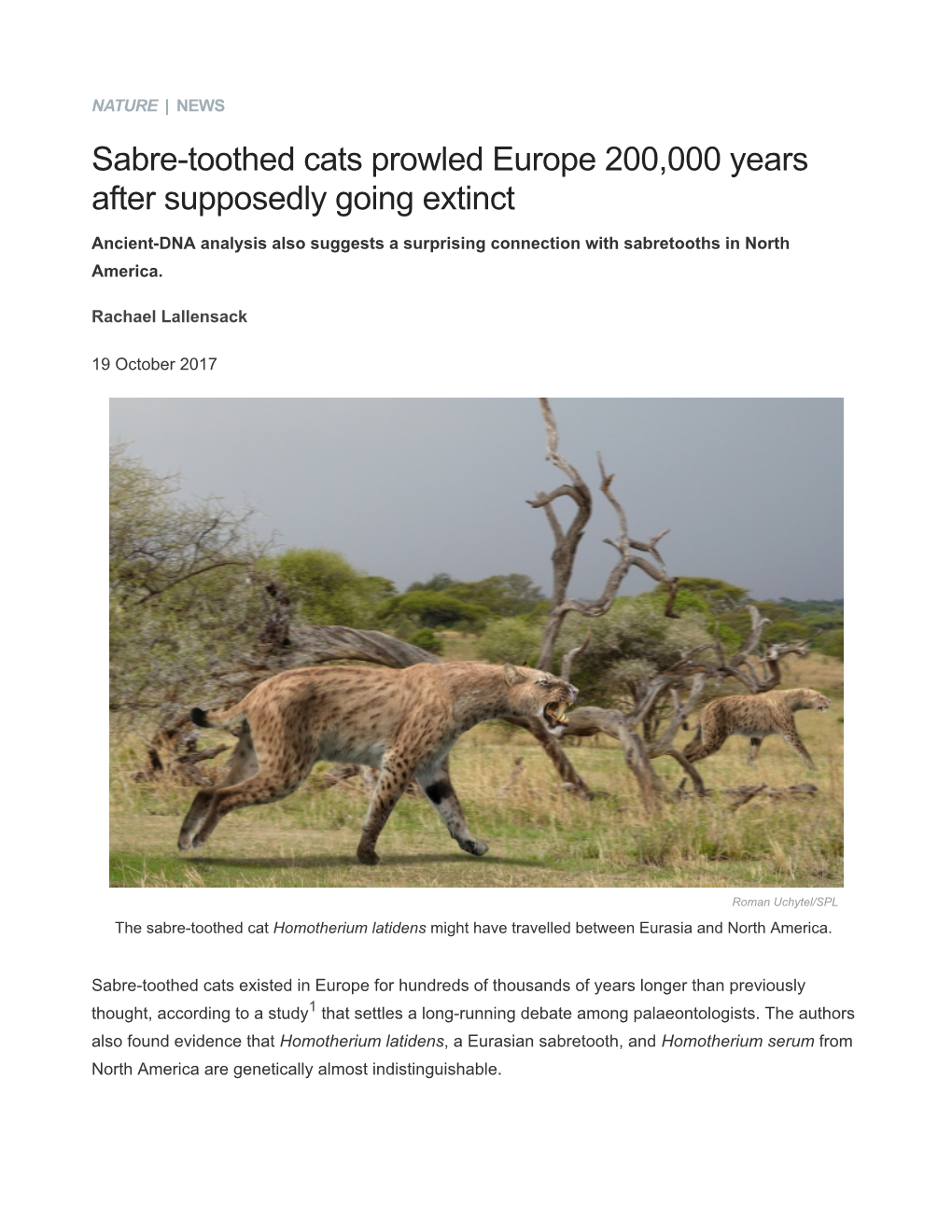 Sabre-Toothed Cats Prowled Europe 200,000 Years After Supposedly Going Extinct