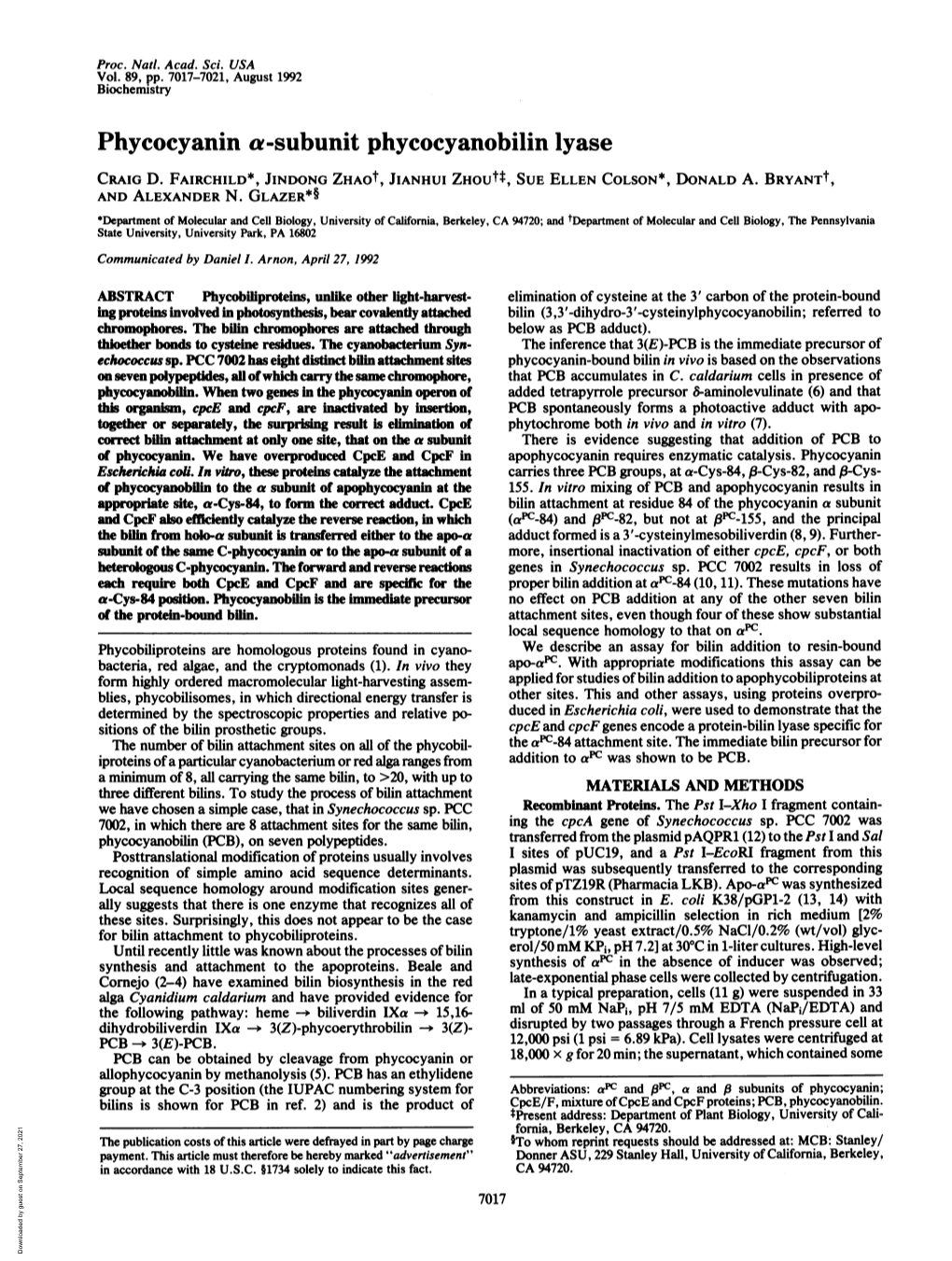 Phycocyanin A-Subunit Phycocyanobilin Iyase CRAIG D