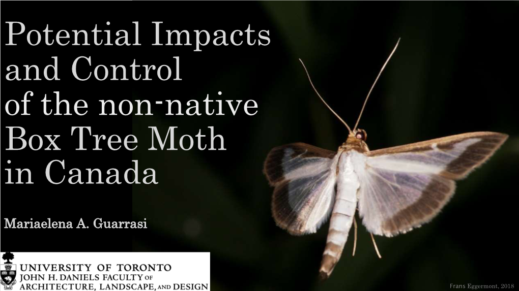 Potential Impacts and Management of the Non-Native Box Tree Moth In