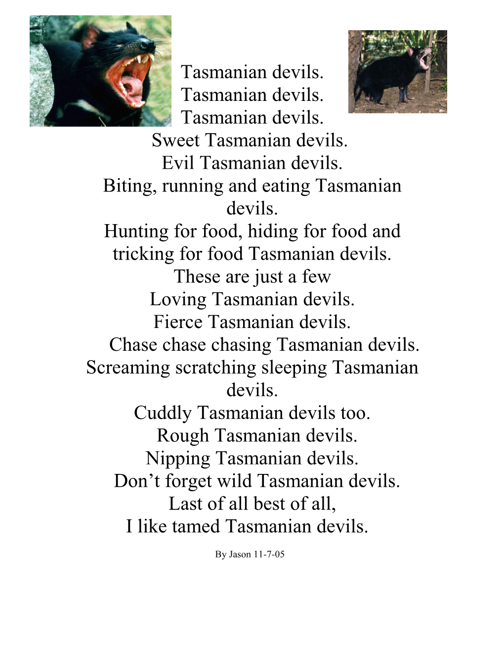 Tasmanian Devils