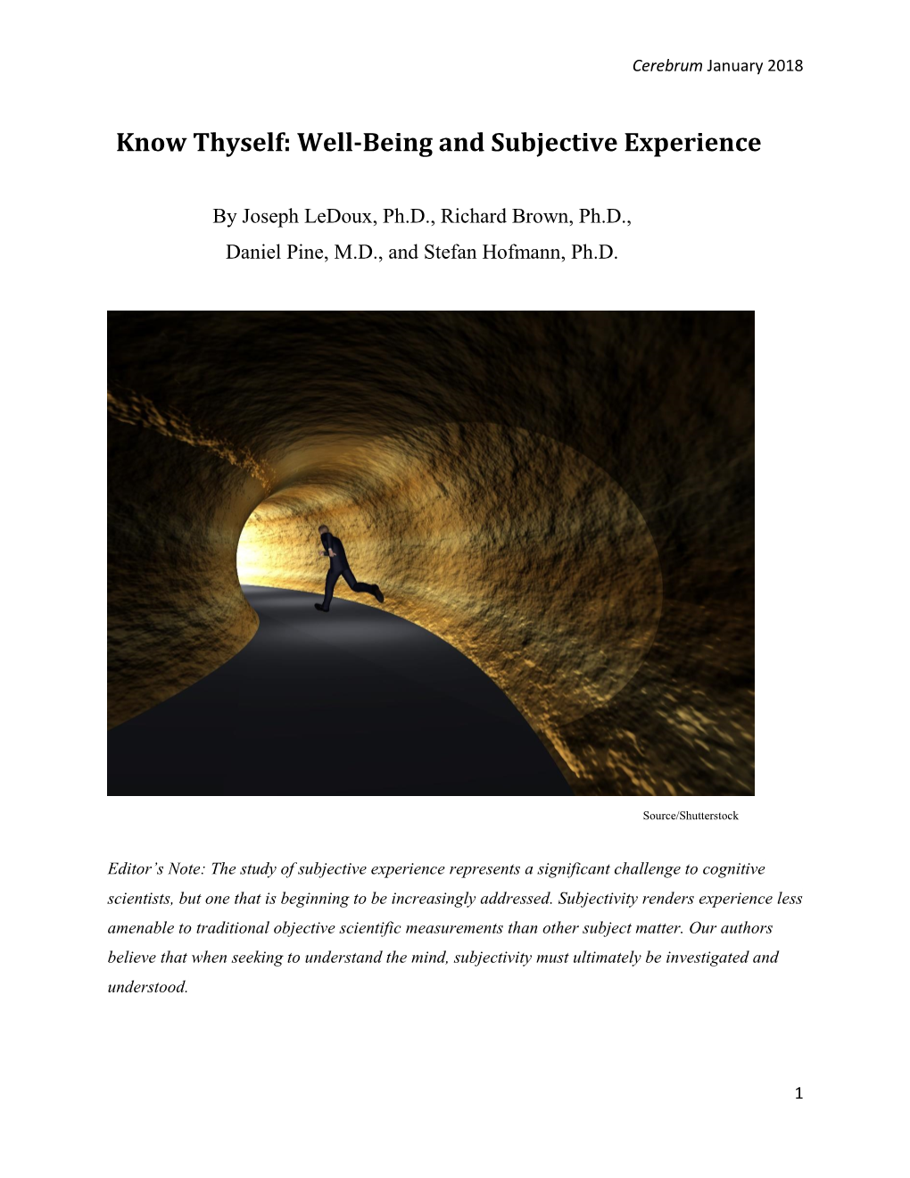 Know Thyself: Well-Being and Subjective Experience