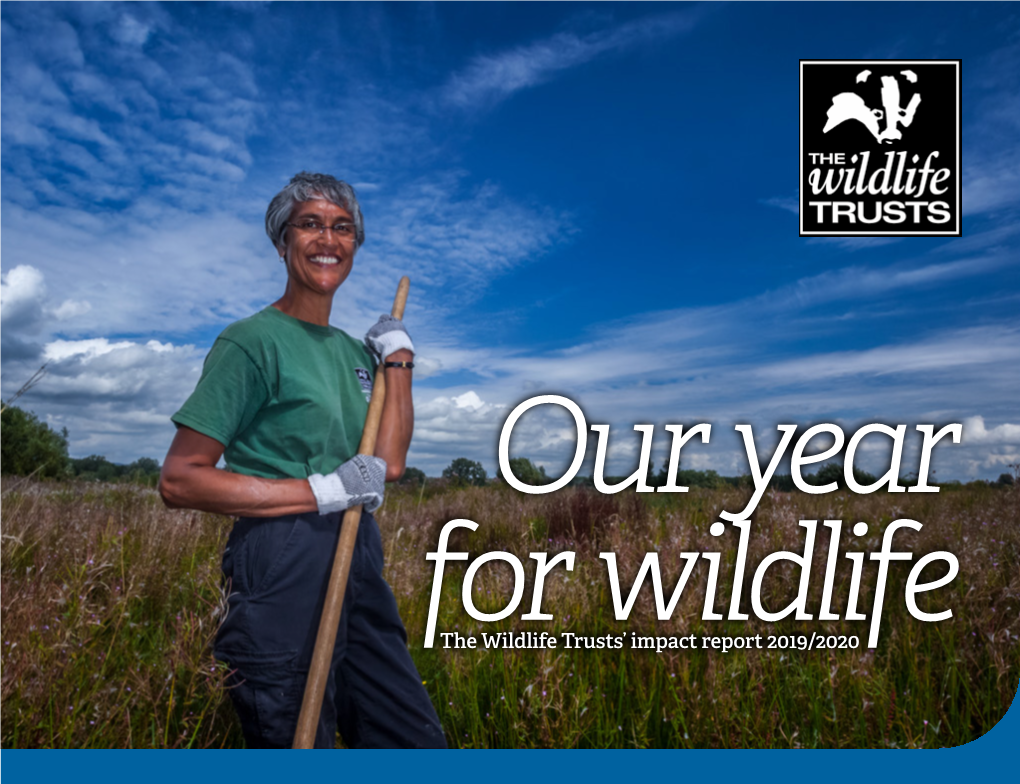 The Wildlife Trusts' Impact Report 2019/2020