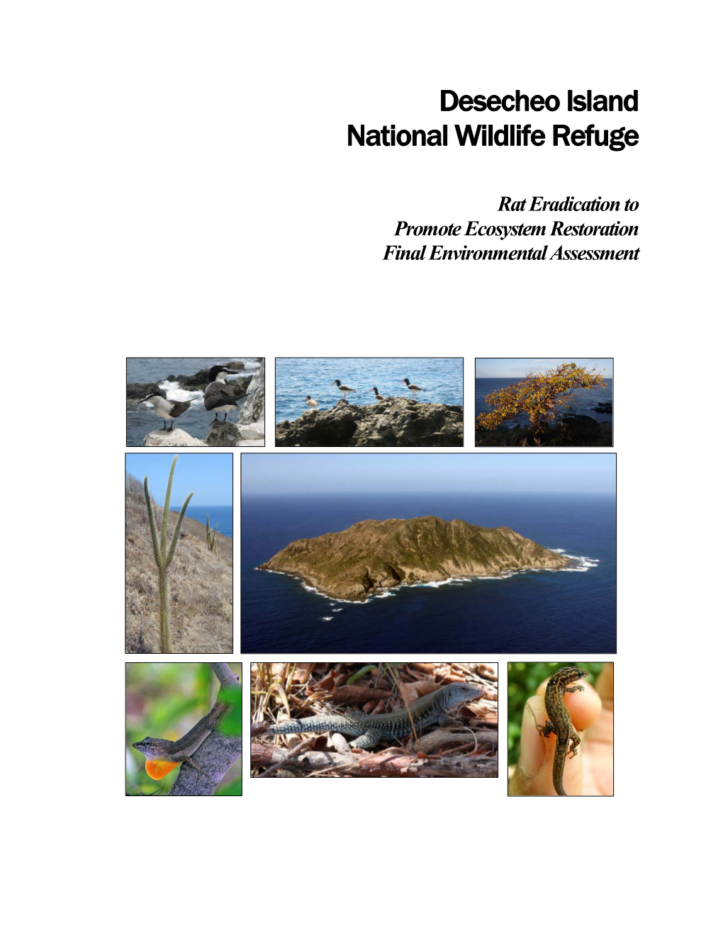 Desecheo Island National Wildlife Refuge