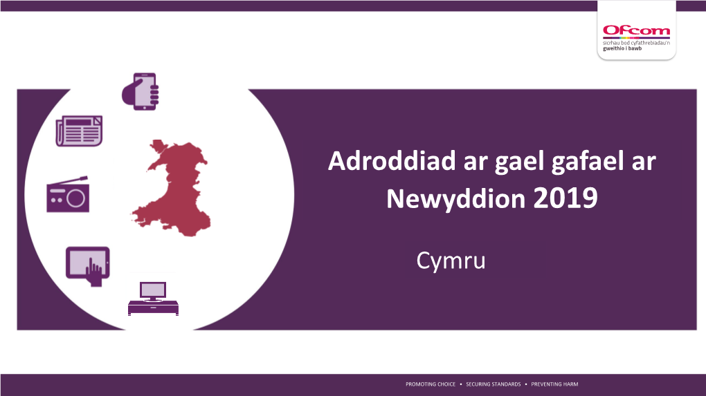 Adroddiad Ar Gael Gafael Ar Newyddion 2019