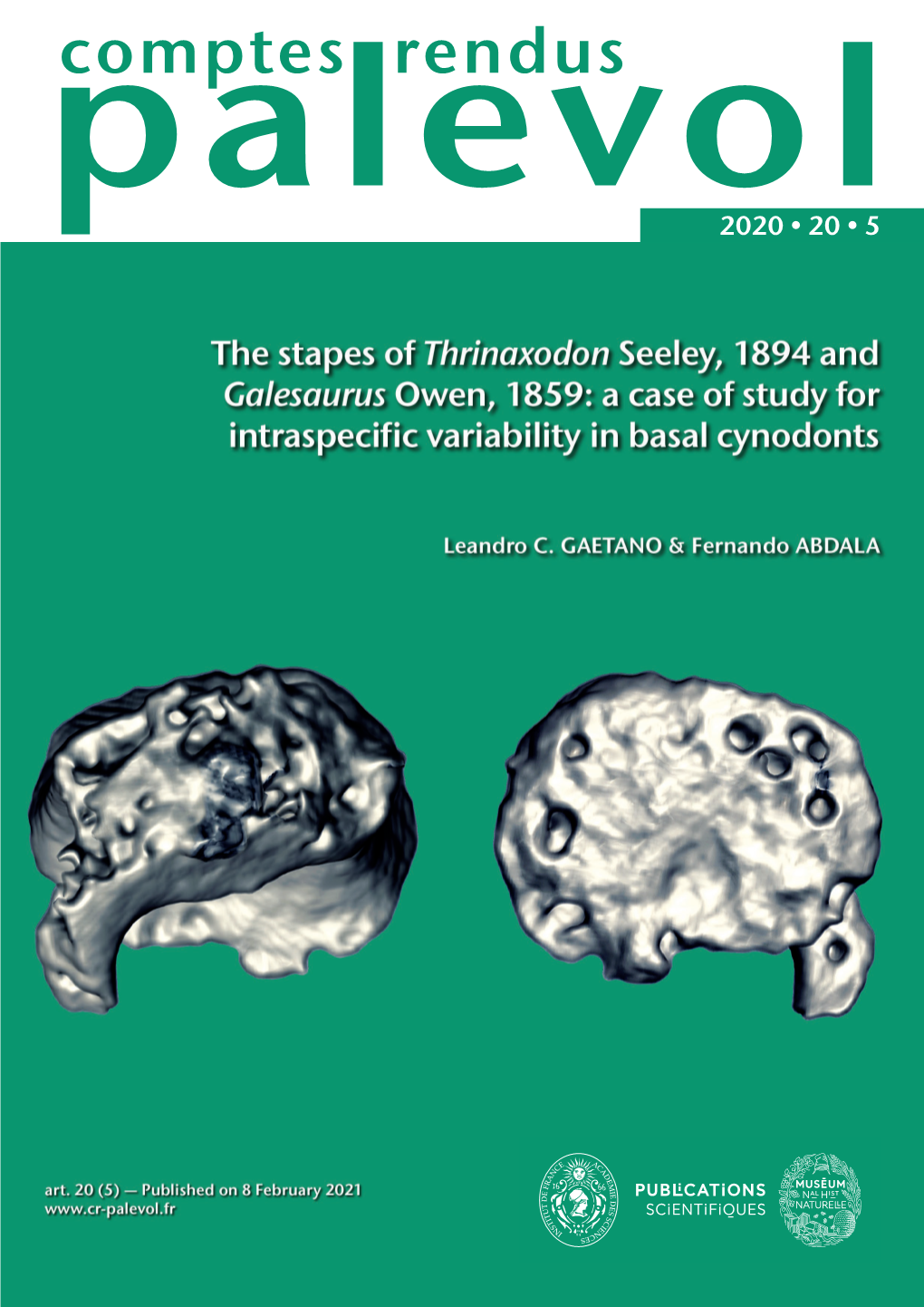 The Stapes of Thrinaxodon Seeley, 1894 and Galesaurus Owen, 1859: a Case of Study for Intraspecific Variability in Basal Cynodonts