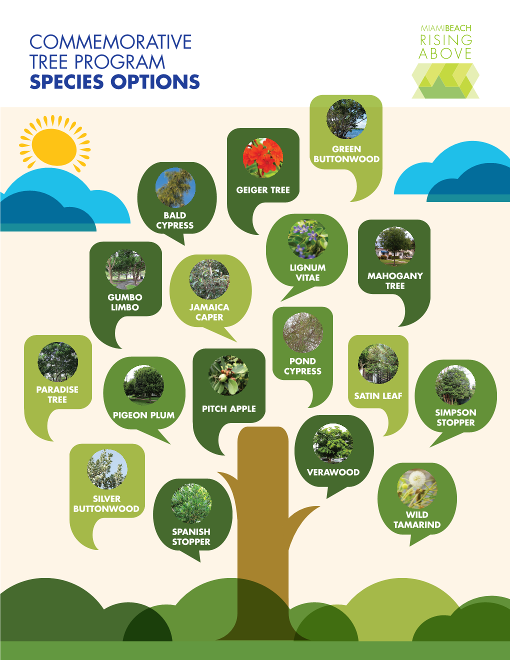 Commemorative Tree Program Species Options