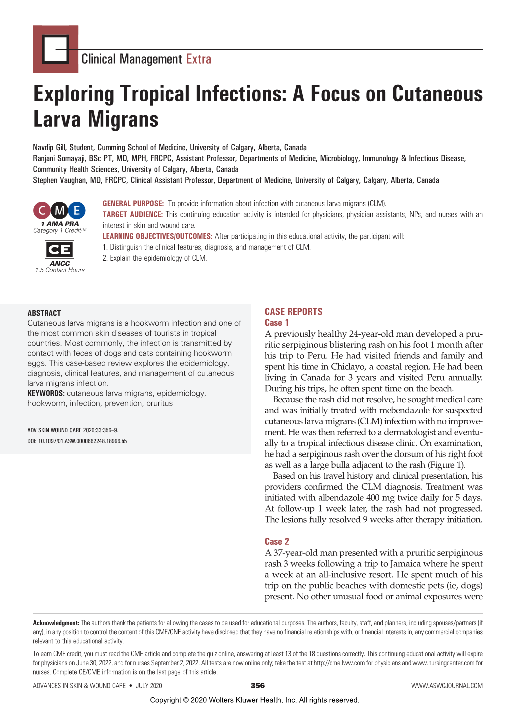 A Focus on Cutaneous Larva Migrans