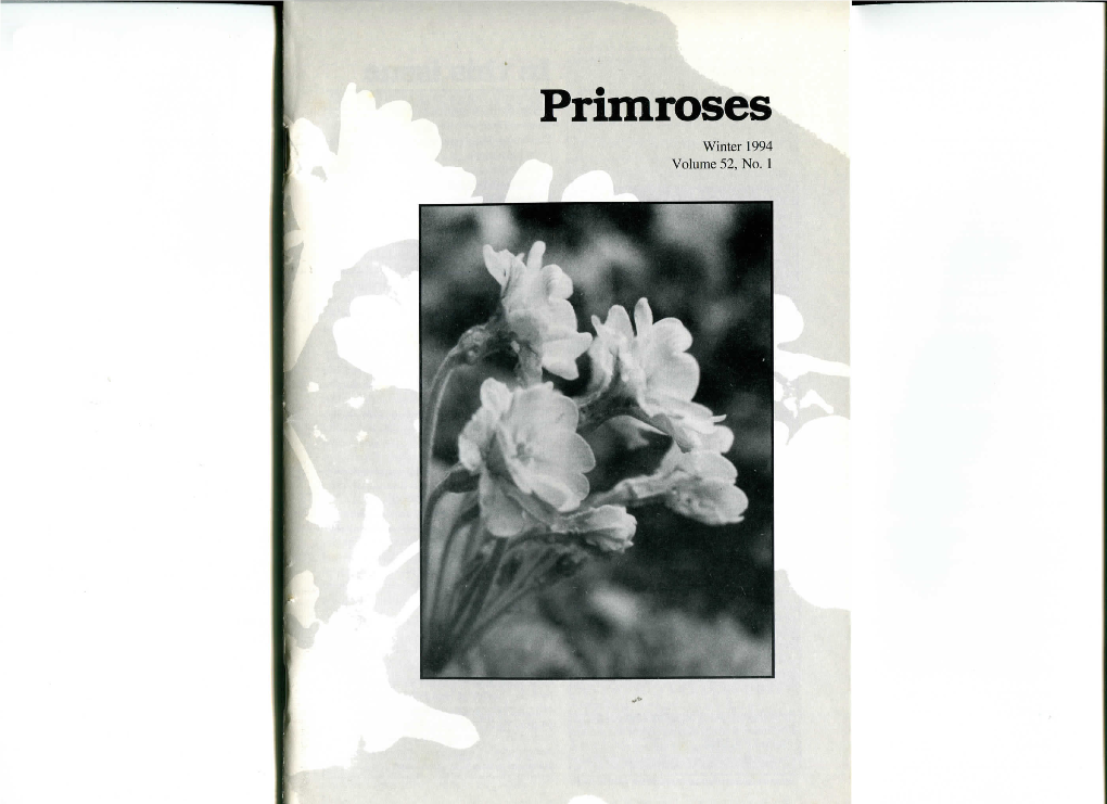 Primroses Winter 1994 Volume 52, No