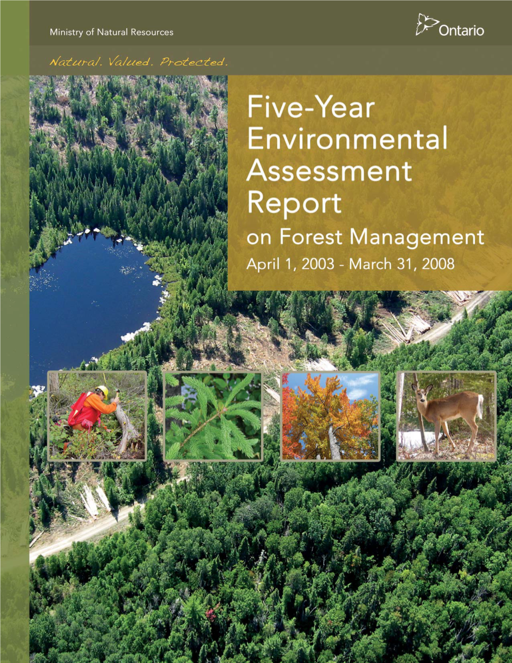 Five-Year Environmental Assessment Report on Forest Management