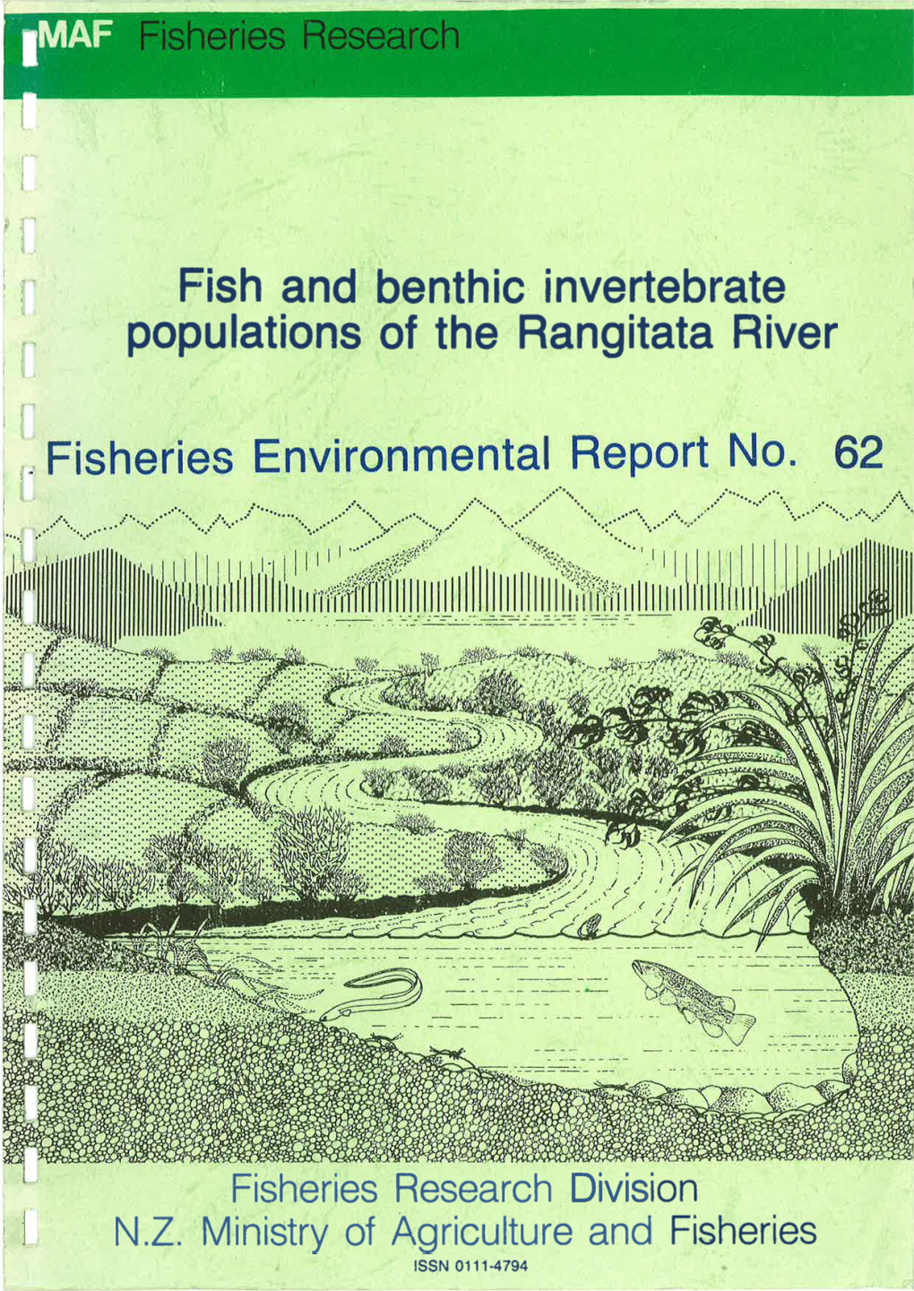 Fish and of the Rangitata River