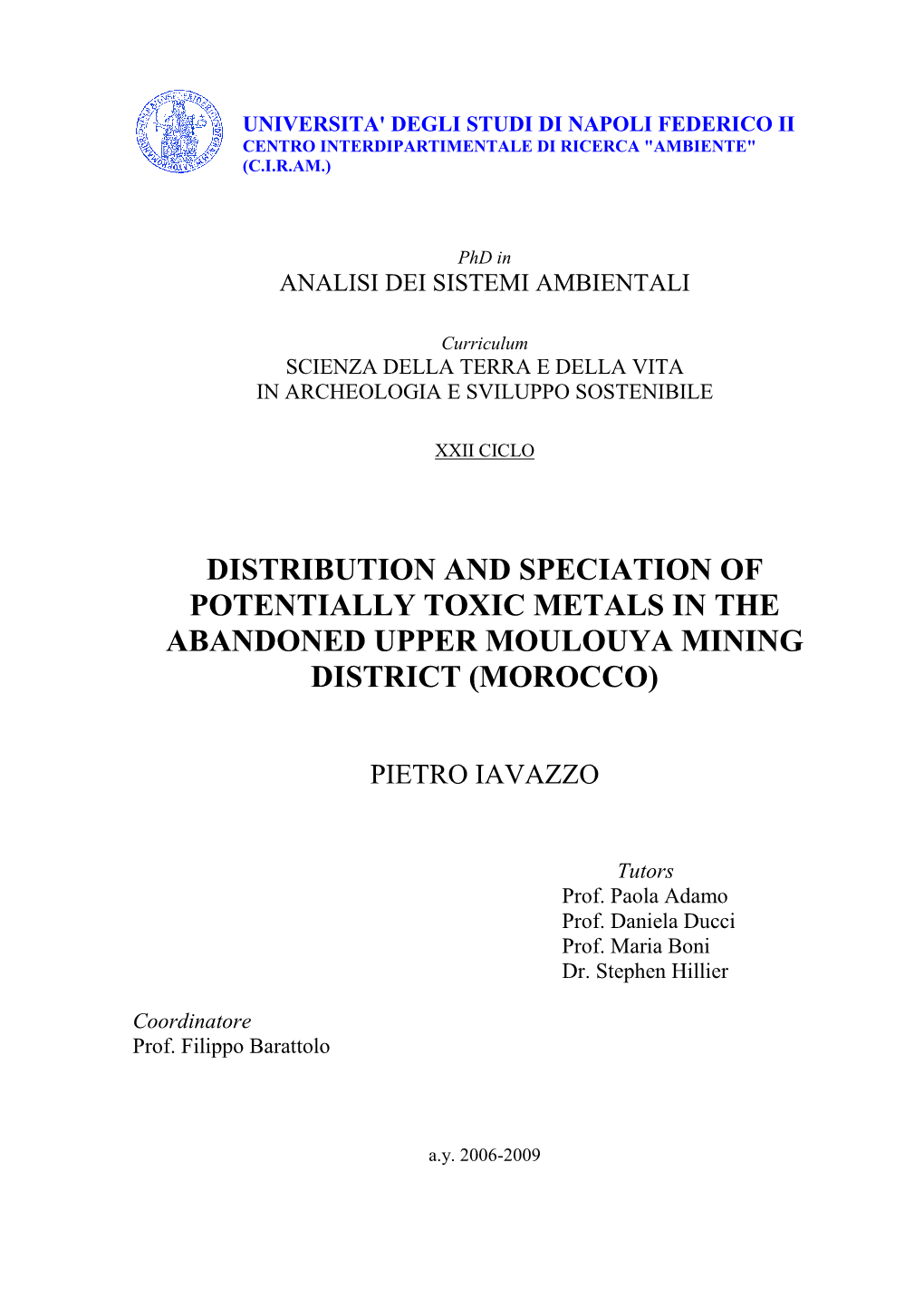 Phd Thesis Iavazzo