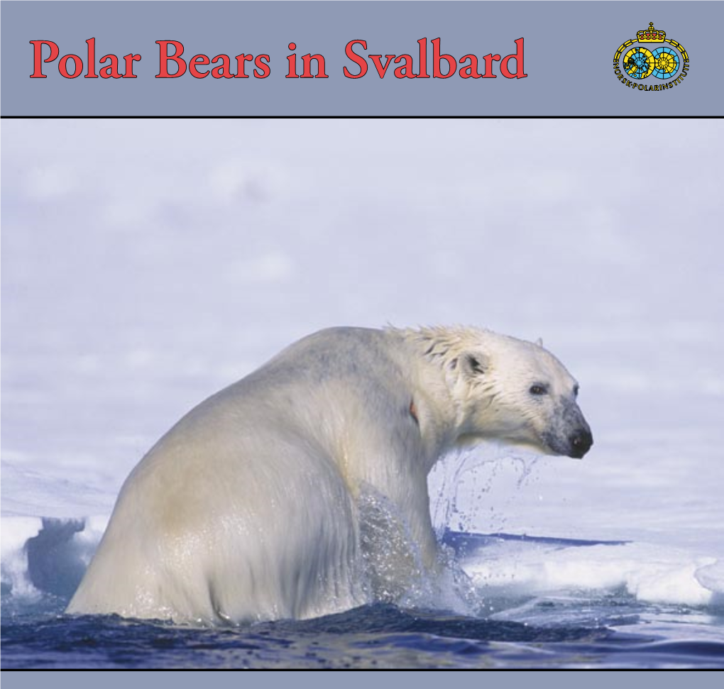 Polar Bears in Svalbard Contents Page