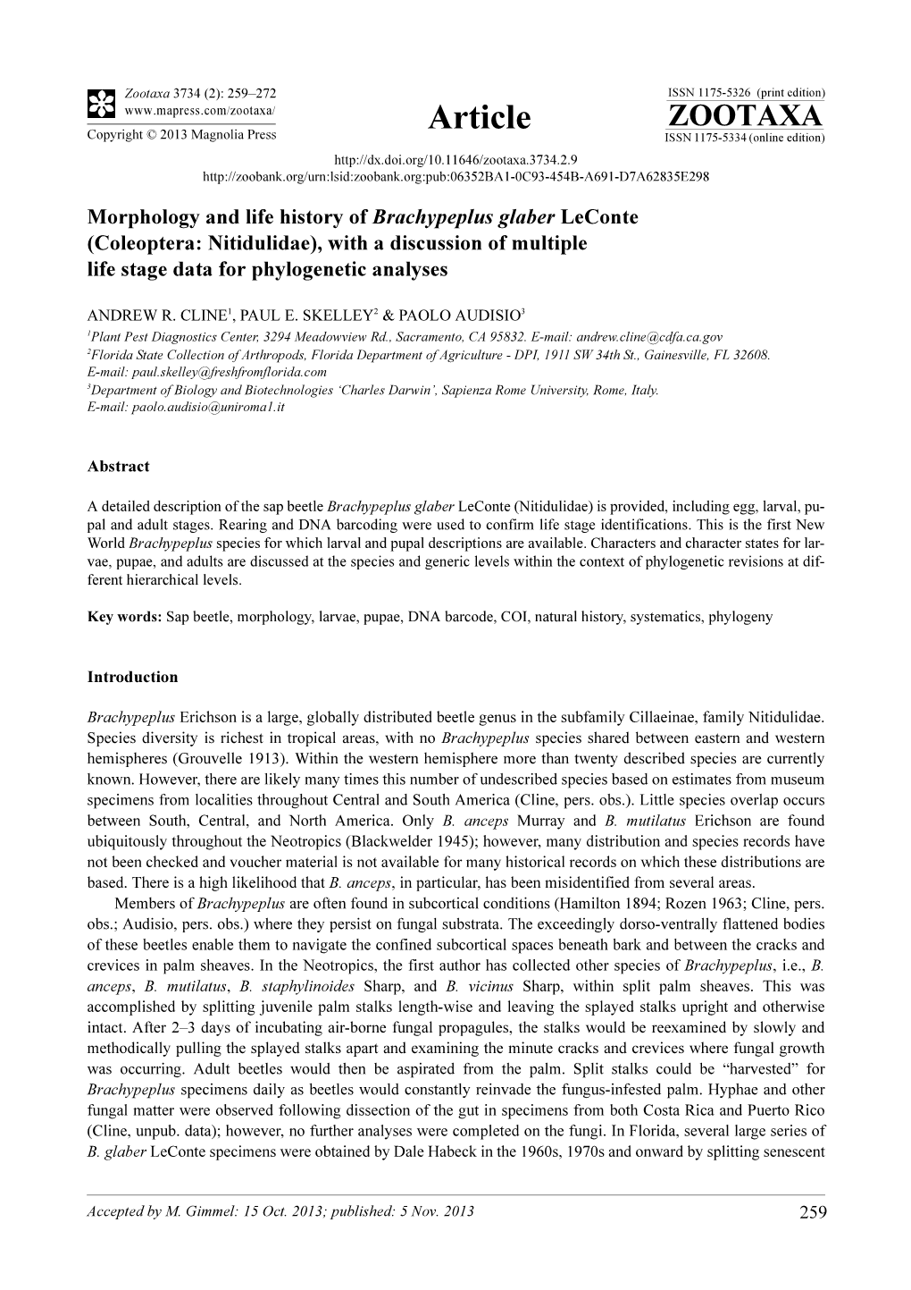 Morphology and Life History of Brachypeplus Glaber Leconte (Coleoptera: Nitidulidae), with a Discussion of Multiple Life Stage Data for Phylogenetic Analyses