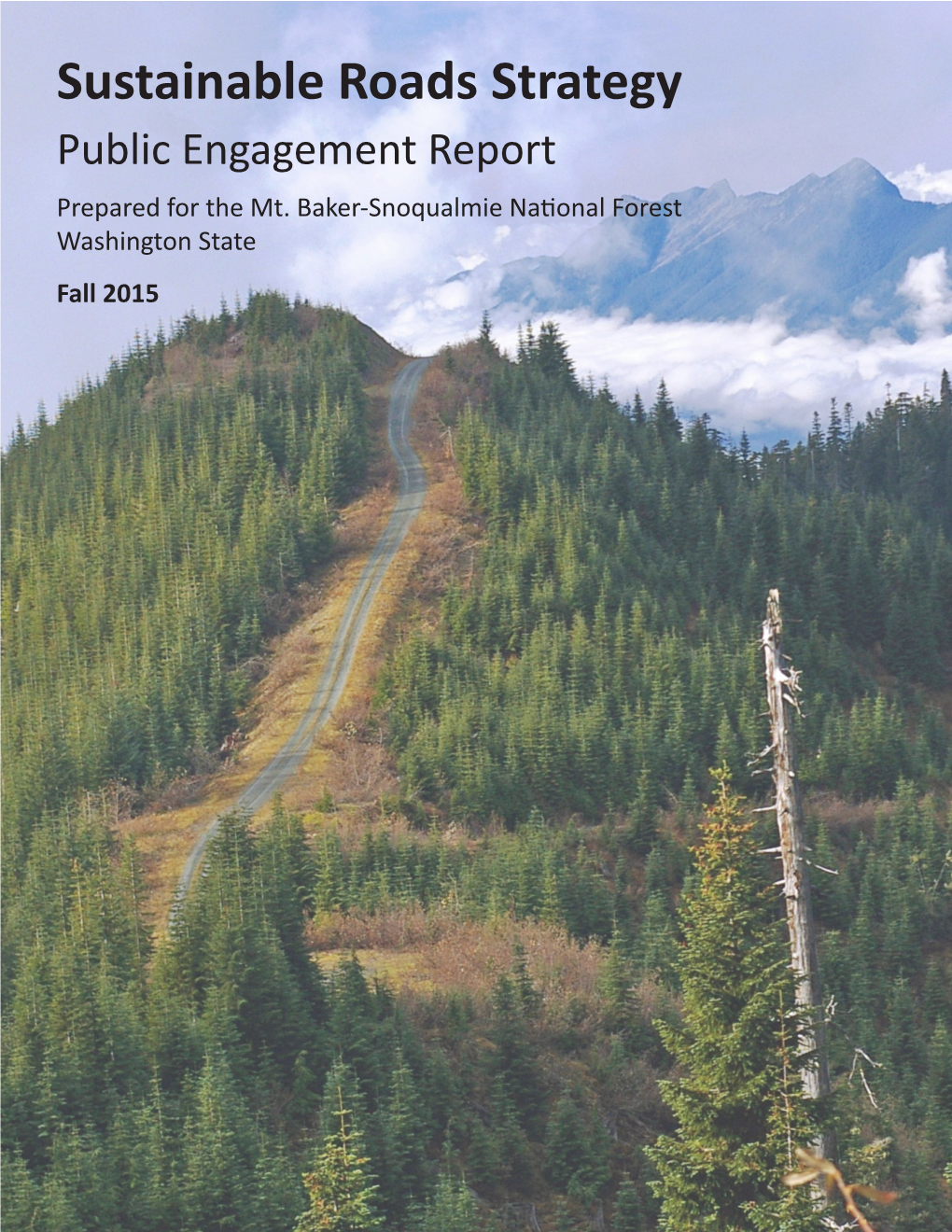 Sustainable Roads Strategy Public Engagement Report Prepared for the Mt