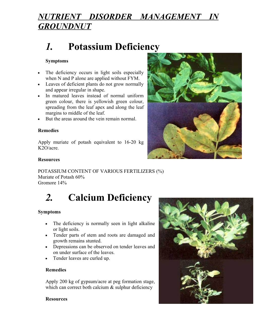 Nutrient Disorder Management In Groundnut