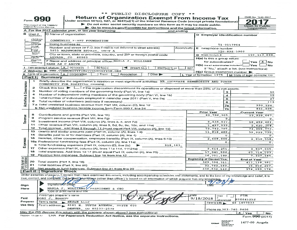 2017 Federal 990 and 990-T (PDF)