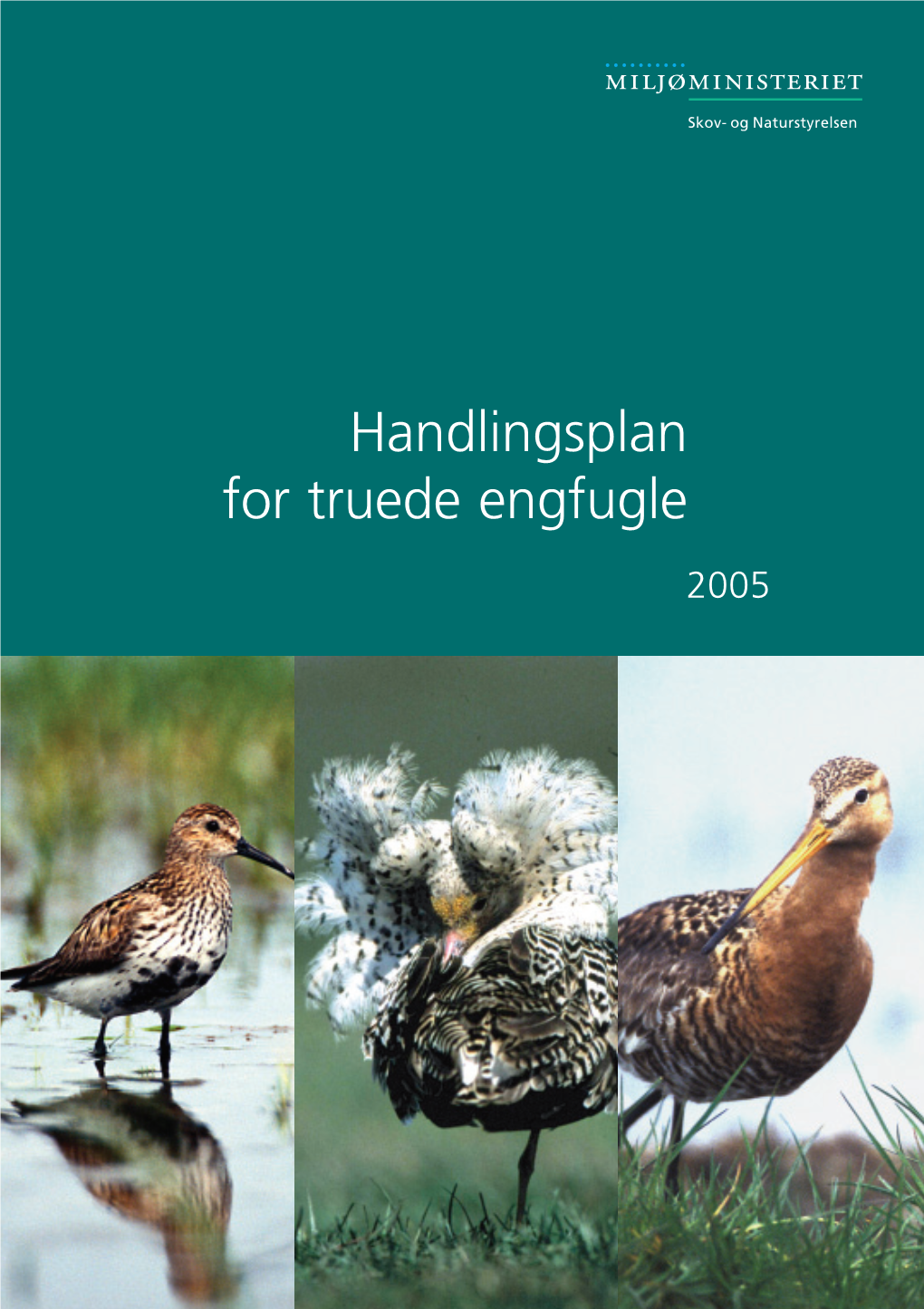 Handlingsplan for Truede Engfugle