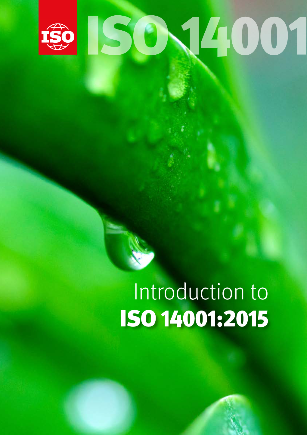 Introduction to ISO 14001:2015 ISO 14001 Is an Internationally Agreed Standard That Sets out the Requirements for an Environmental Management System