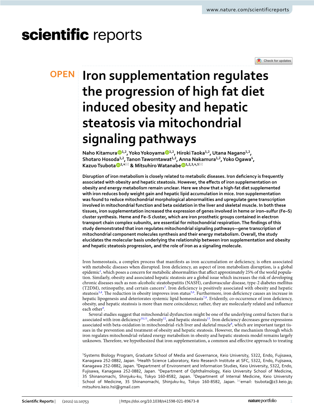 Iron Supplementation Regulates the Progression of High Fat Diet Induced