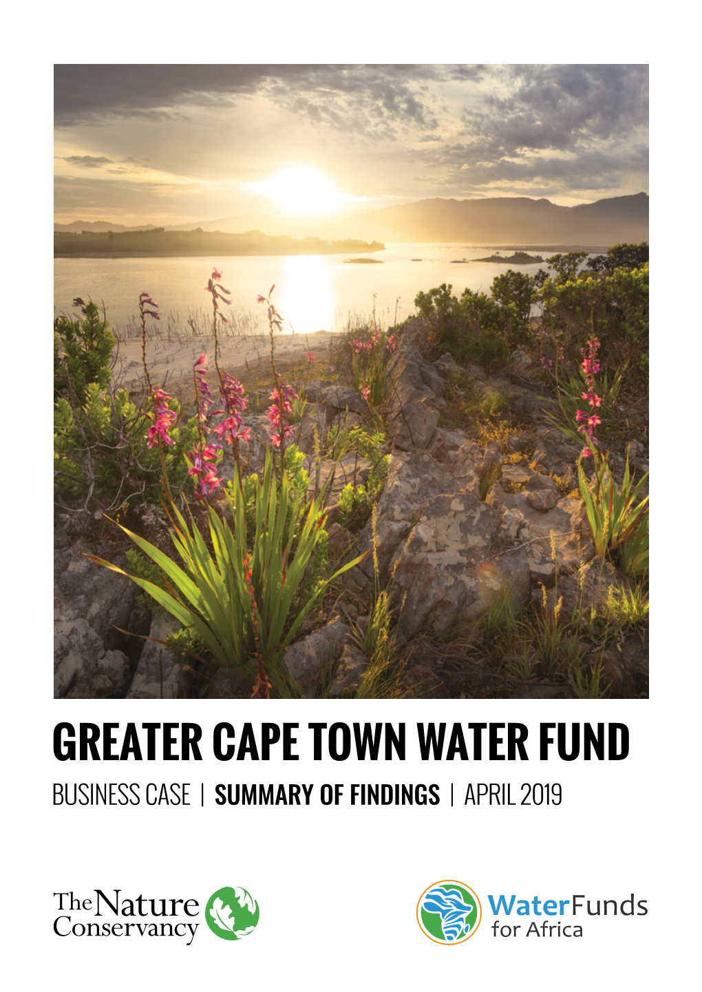 Greater Cape Town Water Fund Business Case | Summary of Findings | April 2019 Introduction