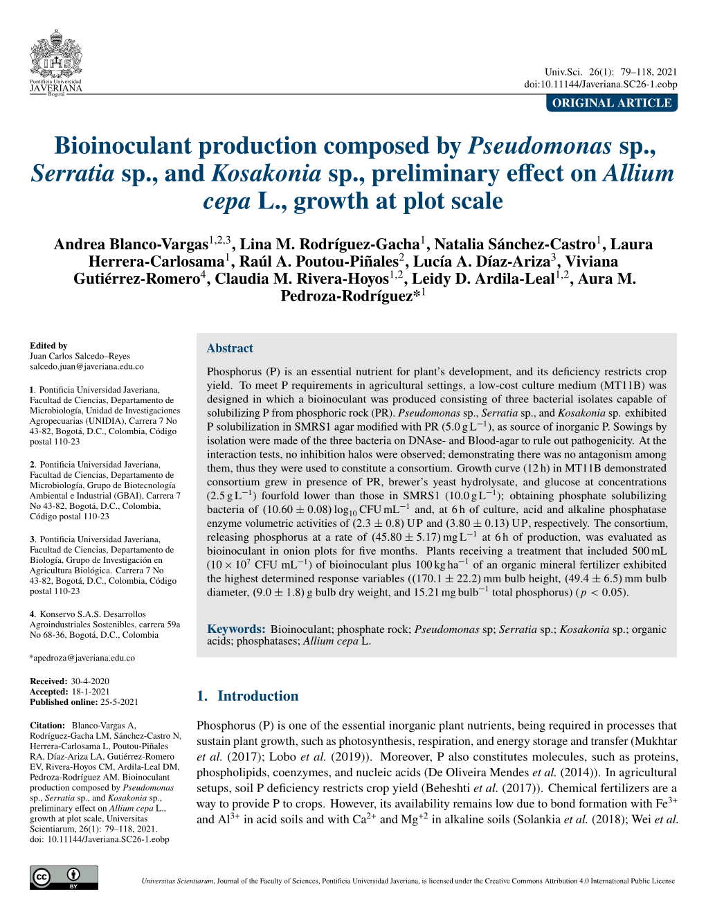 Bioinoculant Production Composed by Pseudomonas Sp., Serratia Sp., and Kosakonia Sp., Preliminary Eﬀect on Allium Cepa L., Growth at Plot Scale