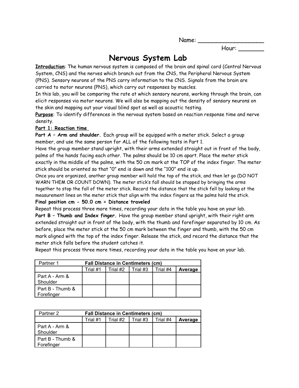 Nervous System Lab