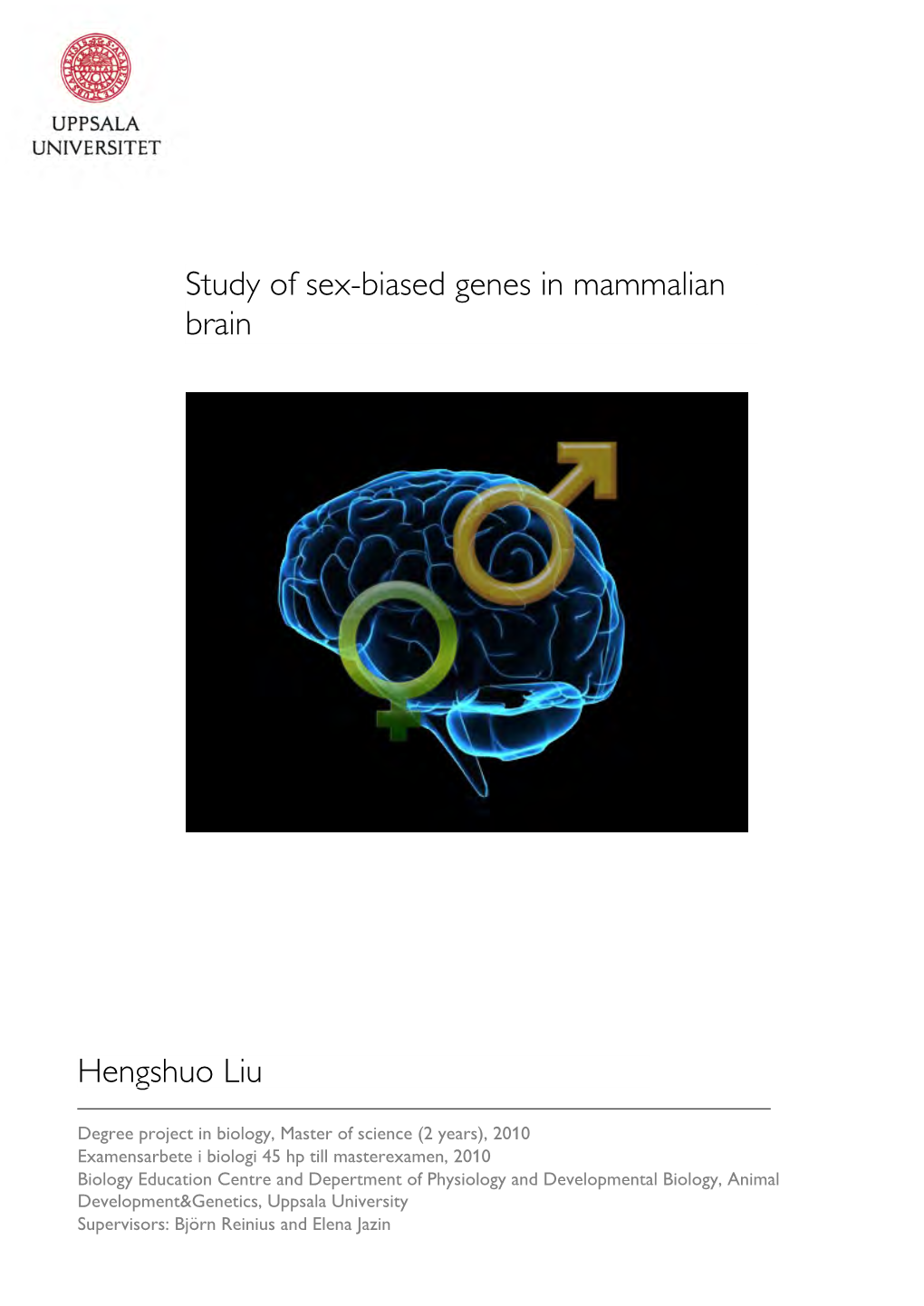 Study of Sex-Biased Genes in Mammalian Brain Hengshuo