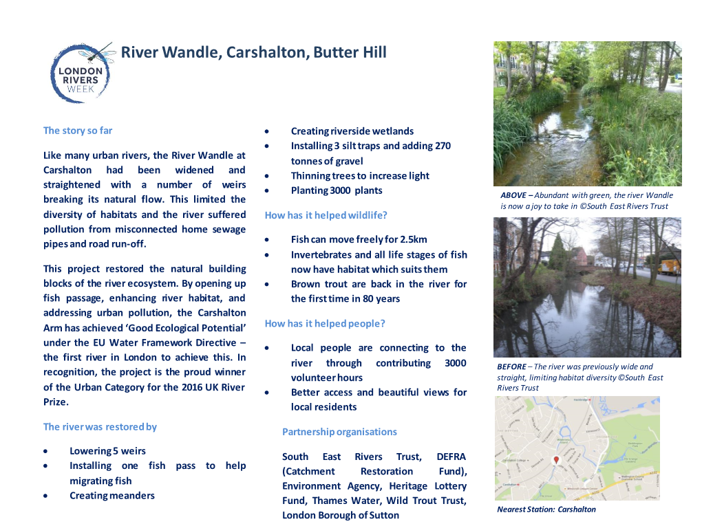 River Wandle, Carshalton, Butter Hill