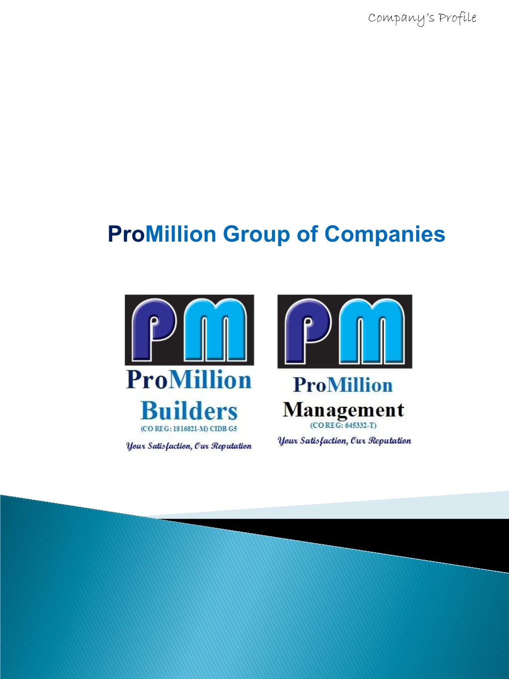 Promillion Group of Companies  Organisation Chart