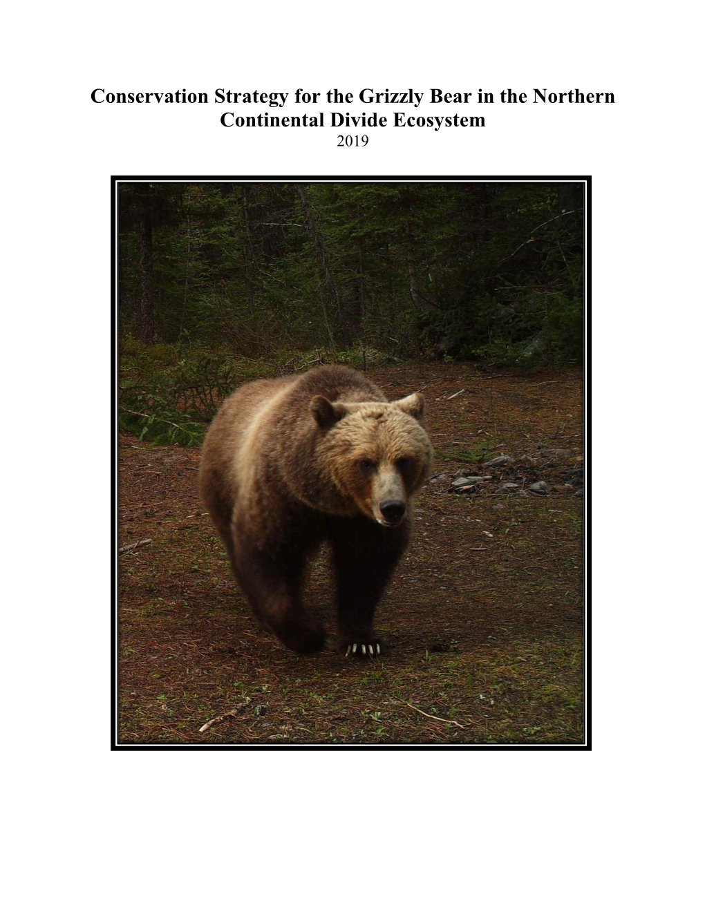 Conservation Strategy for the Grizzly Bear in the Northern Continental Divide Ecosystem 2019