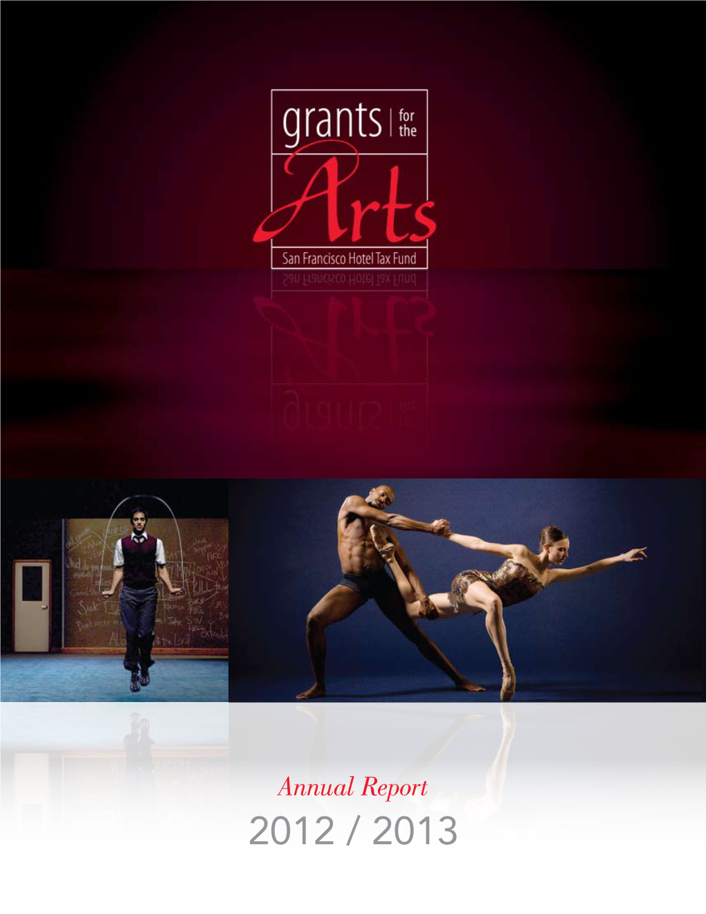 Annual Report 2012 / 2013