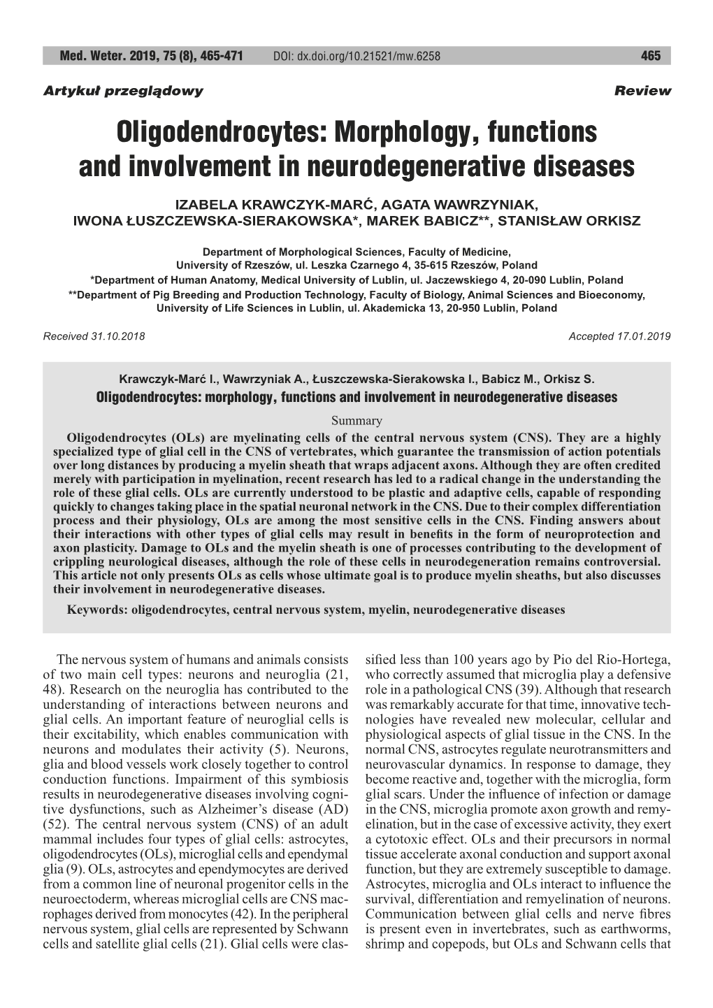 Morphology, Functions and Involvement in Neurodegenerative Diseases