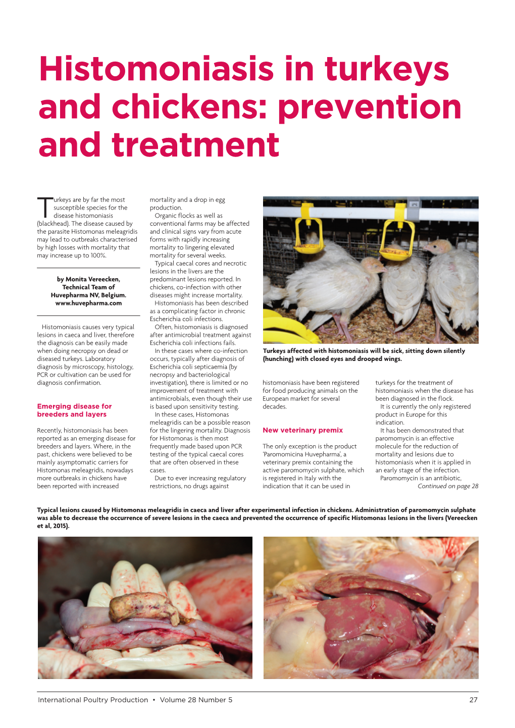 Histomoniasis in Turkeys and Chickens: Prevention and Treatment