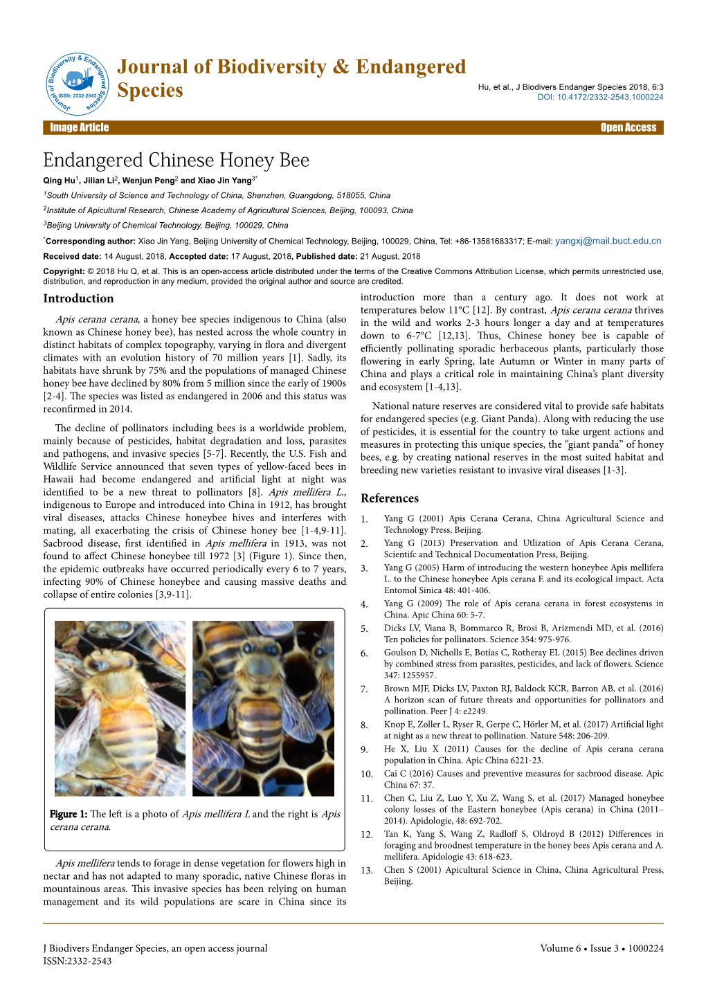 Endangered Chinese Honey