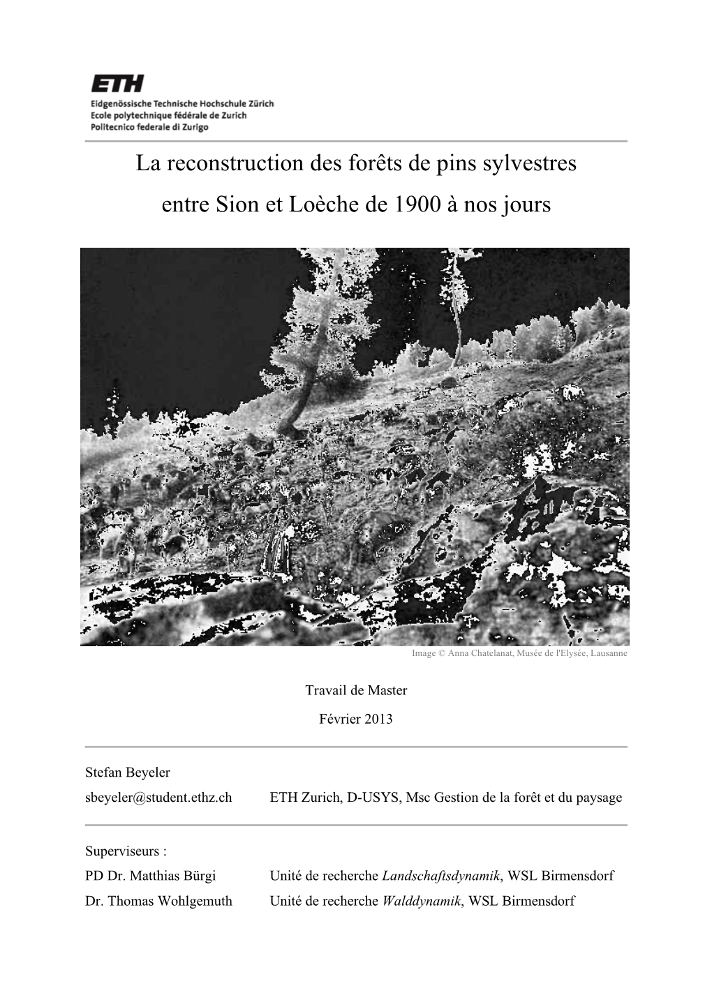 La Reconstruction Des Forêts De Pins Sylvestres Entre Sion Et Loèche De 1900 À Nos Jours