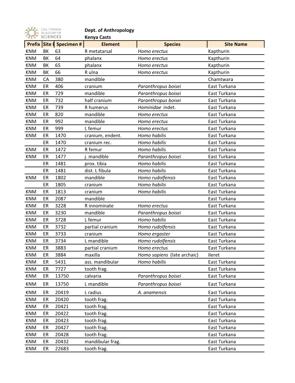 Dept. of Anthropology Kenya Casts Prefix Site Designation Specimen # Element Species Site Name KNM BK 63 R Metatarsal Homo Erect