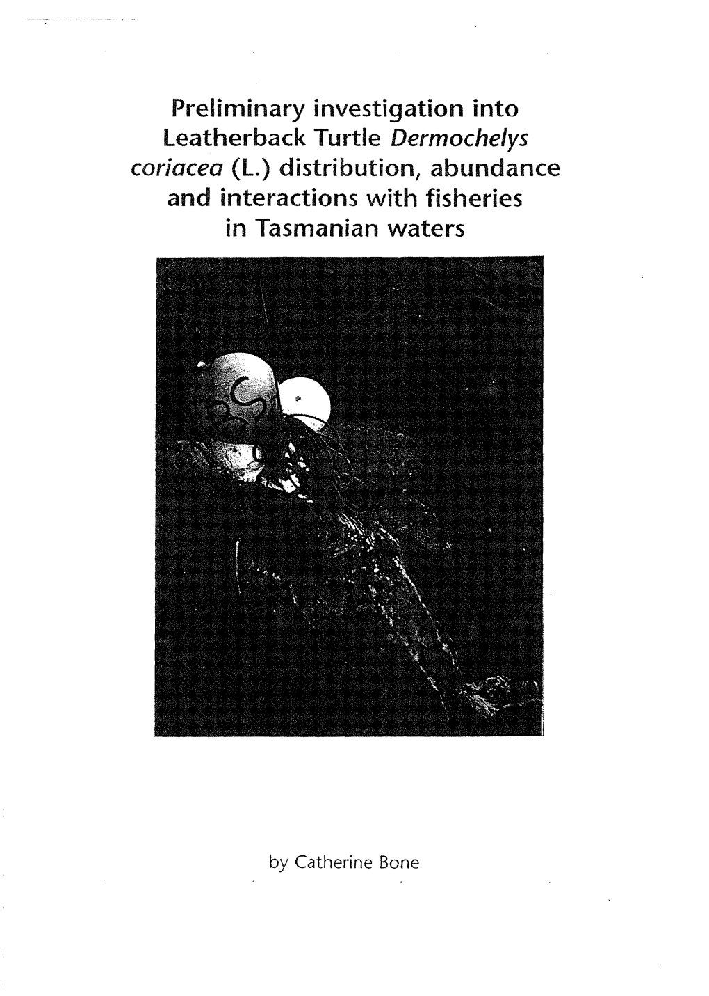 Preliminary Investigation Into Leatherback Turtle Dermochelys Coriacea (L.) Distribution, Abundance and Interactions with Fisheries in Tasmanian Waters