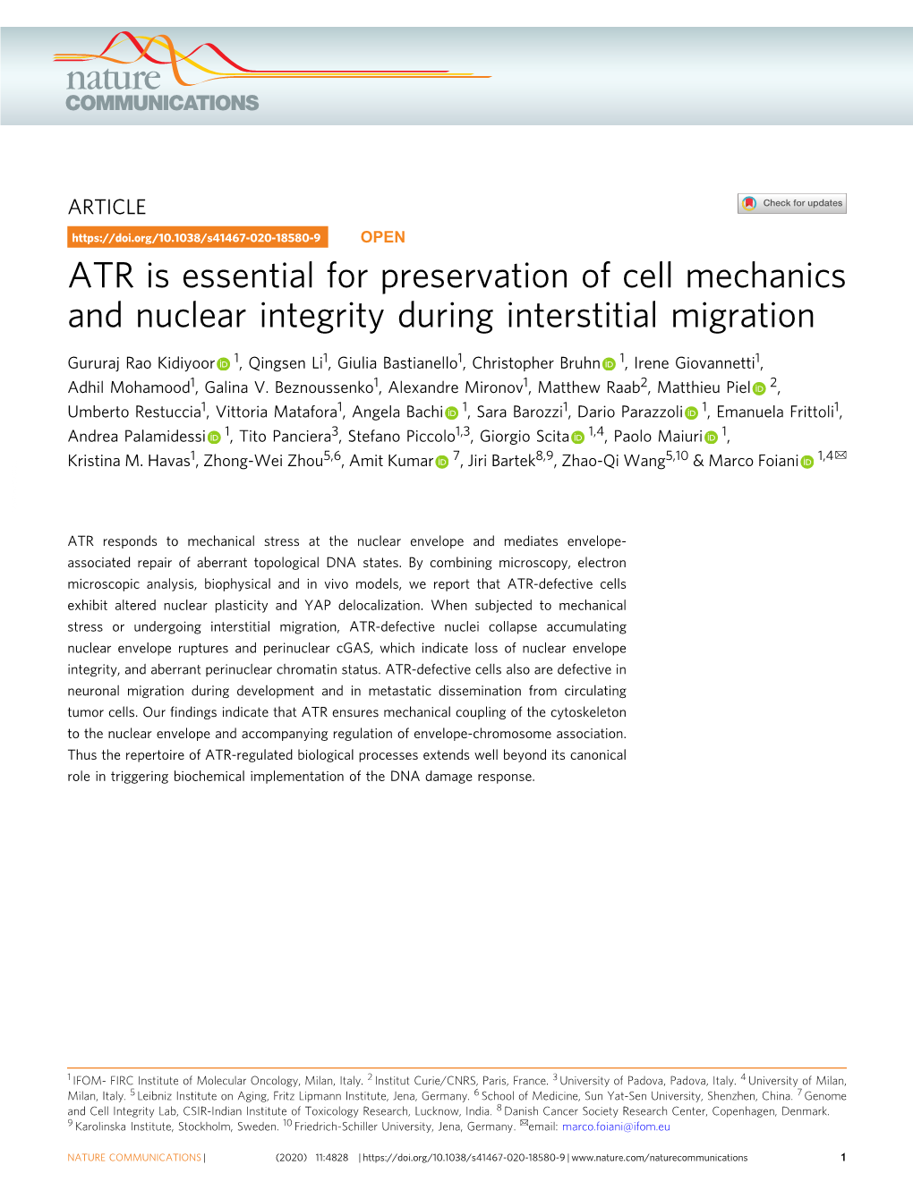 ATR Is Essential for Preservation of Cell Mechanics and Nuclear Integrity During Interstitial Migration