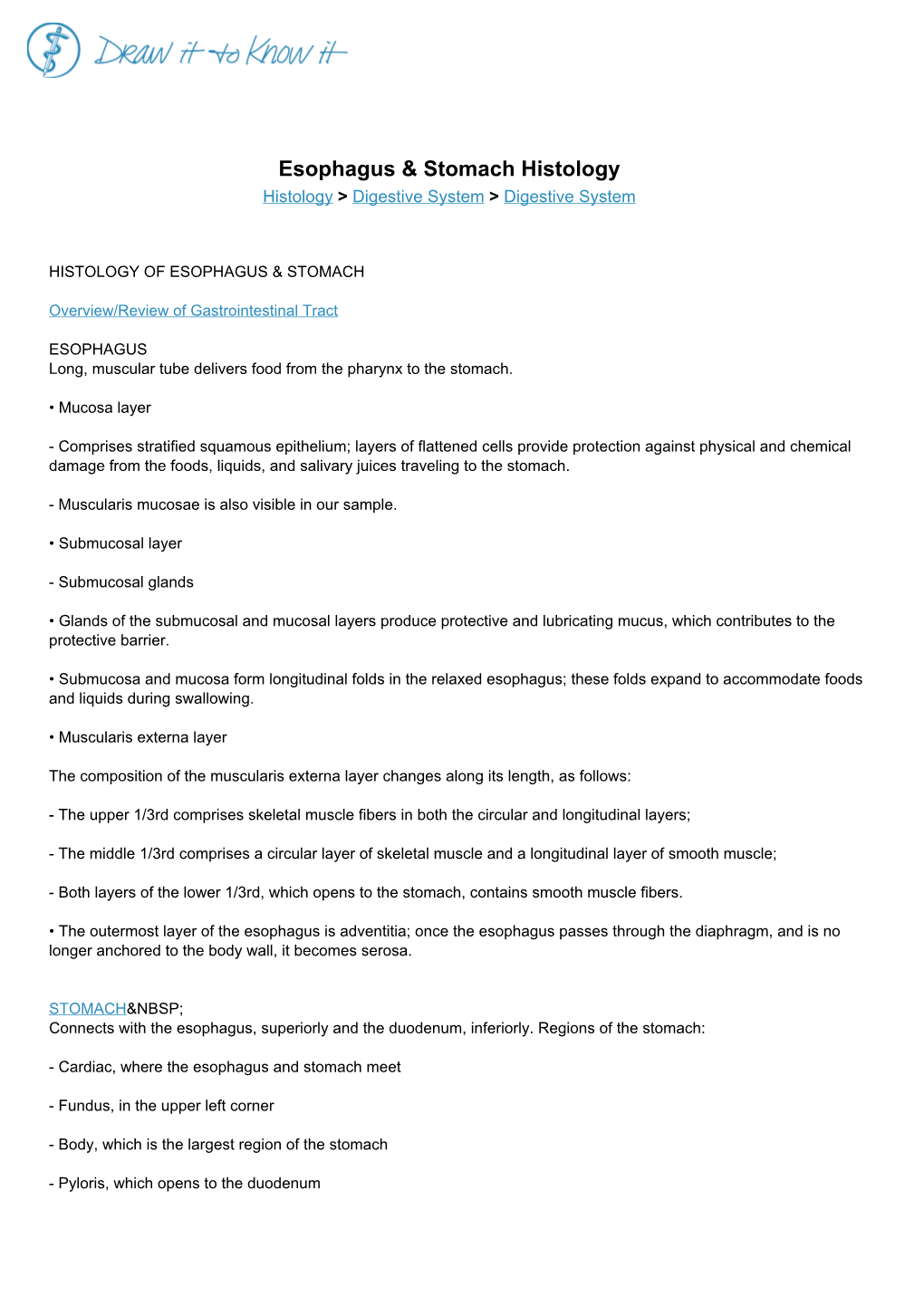 Esophagus & Stomach Histology